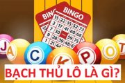 Giải mã thuật ngữ chơi cược bạch thủ lô là gì?